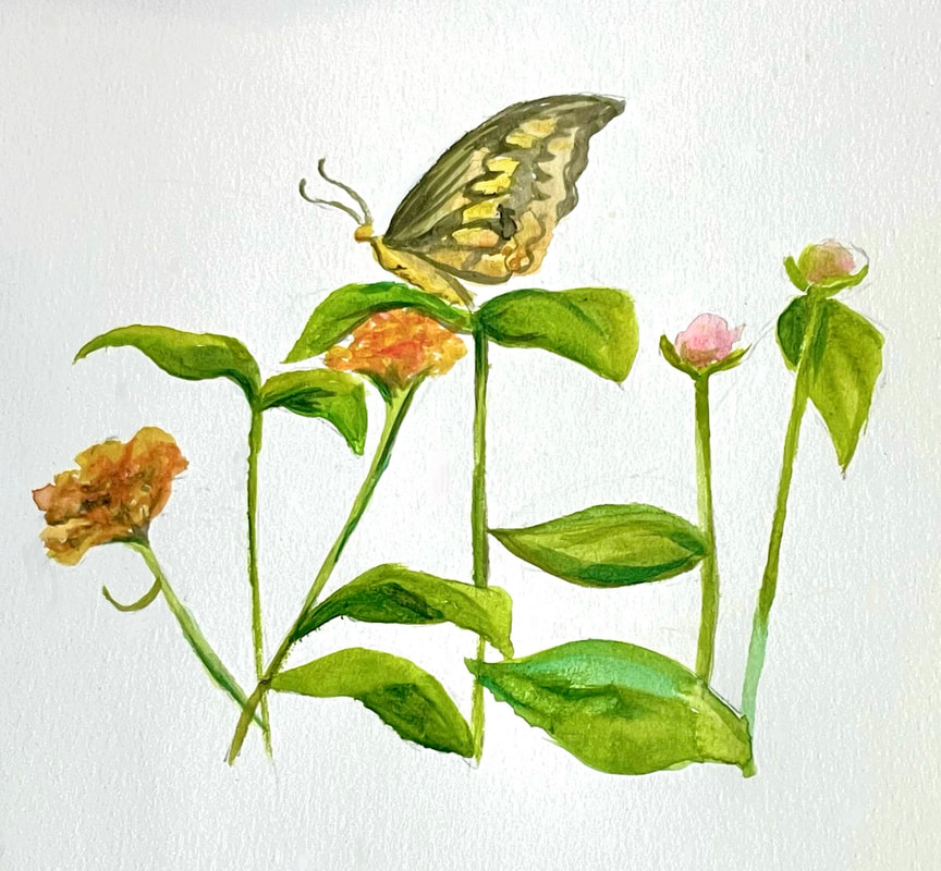 Picture