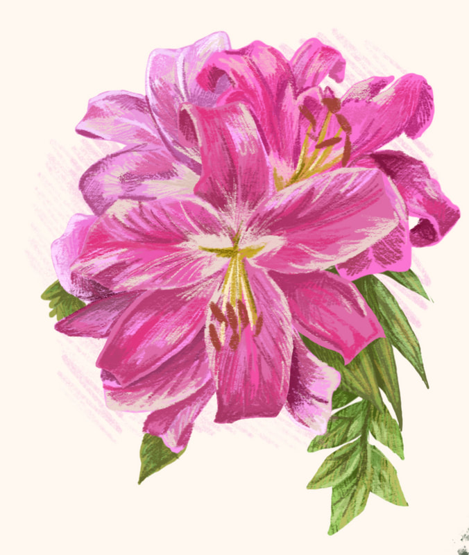 Picture